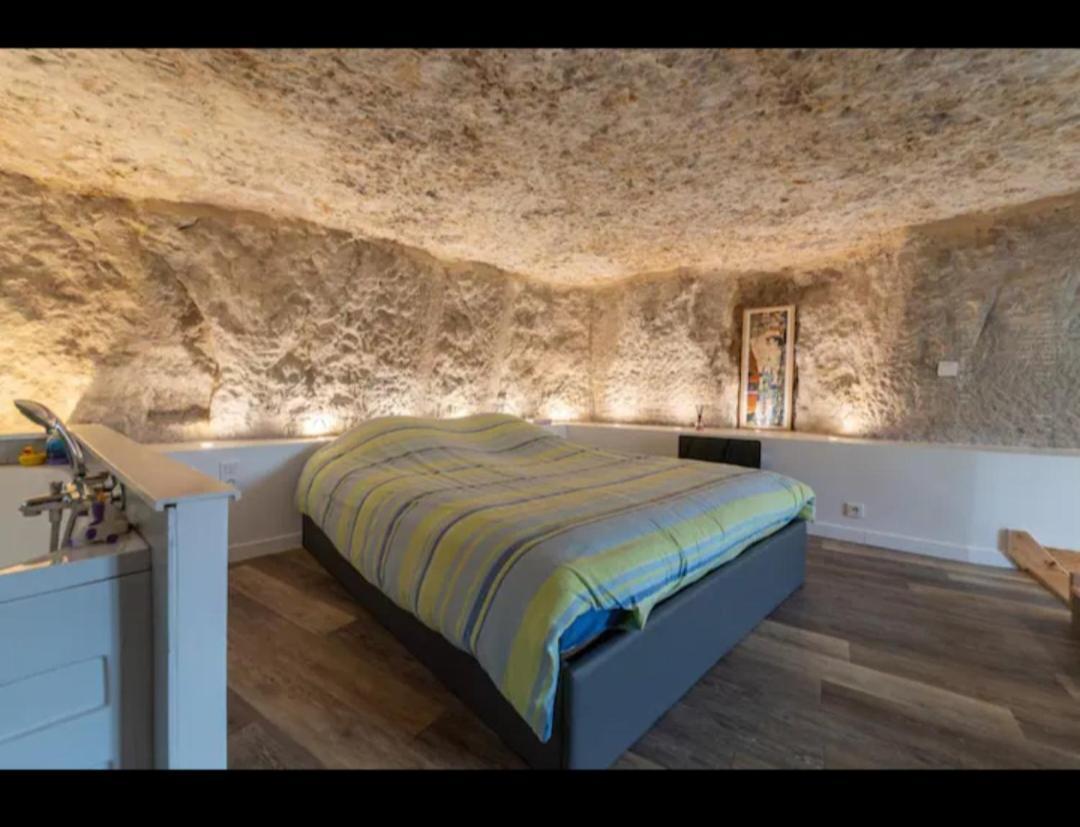 Maison Troglodyte Πουατιέ Εξωτερικό φωτογραφία